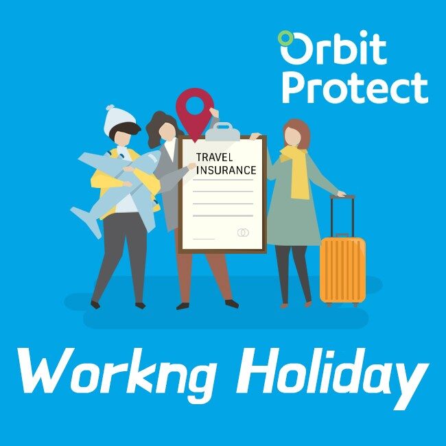 Workingholiday 650x650 1